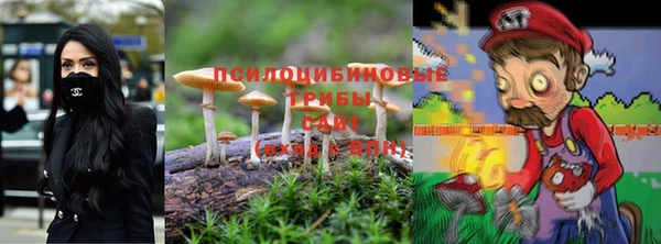мескалин Бронницы